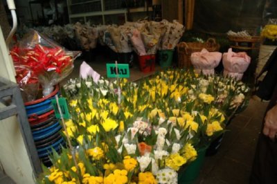 COMERCIO - FLORES AMARILLAS